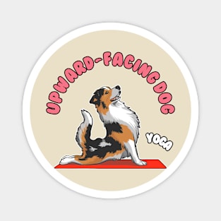 Upward-Facing Dog - Australian shepherd dog Magnet